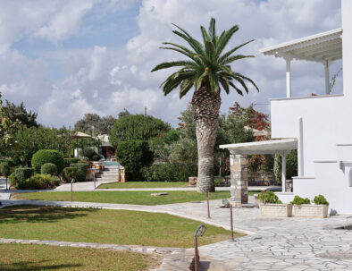 garden view with trees