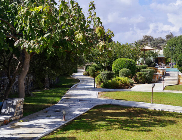 garden view with stone paths