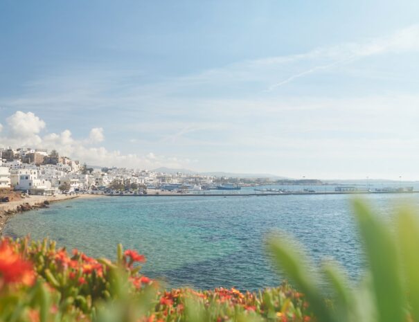 naxos town and flowers