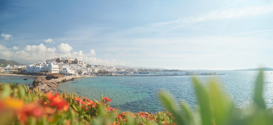 naxos town and flowers
